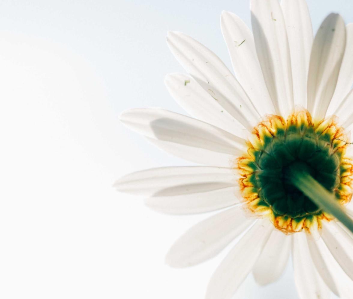 短信轰炸源码实名账号:流量卡的优缺点及如何选购