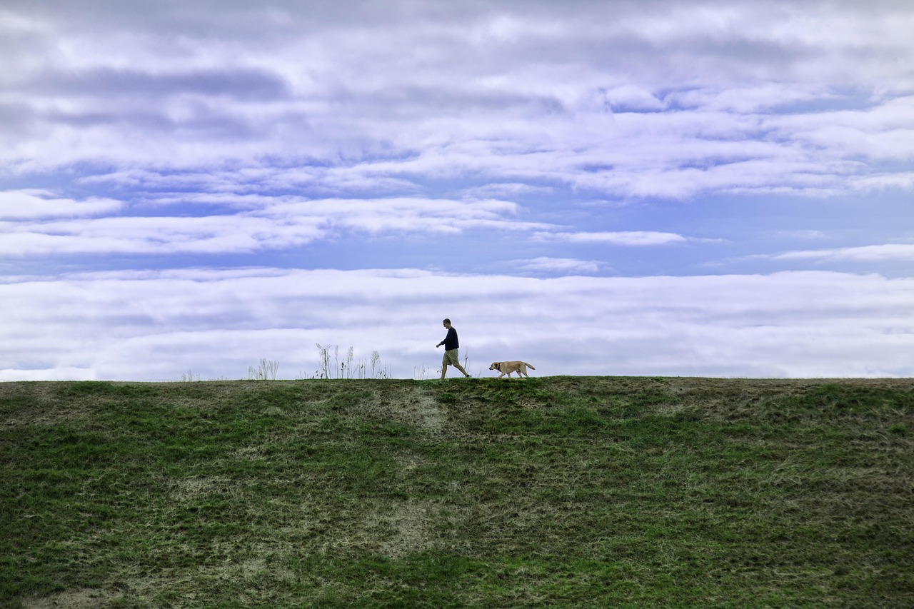 倾城2网易大神体验服账号注册