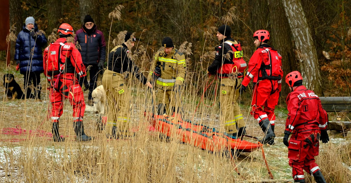 DDOS平台|青羊区企业注册代理