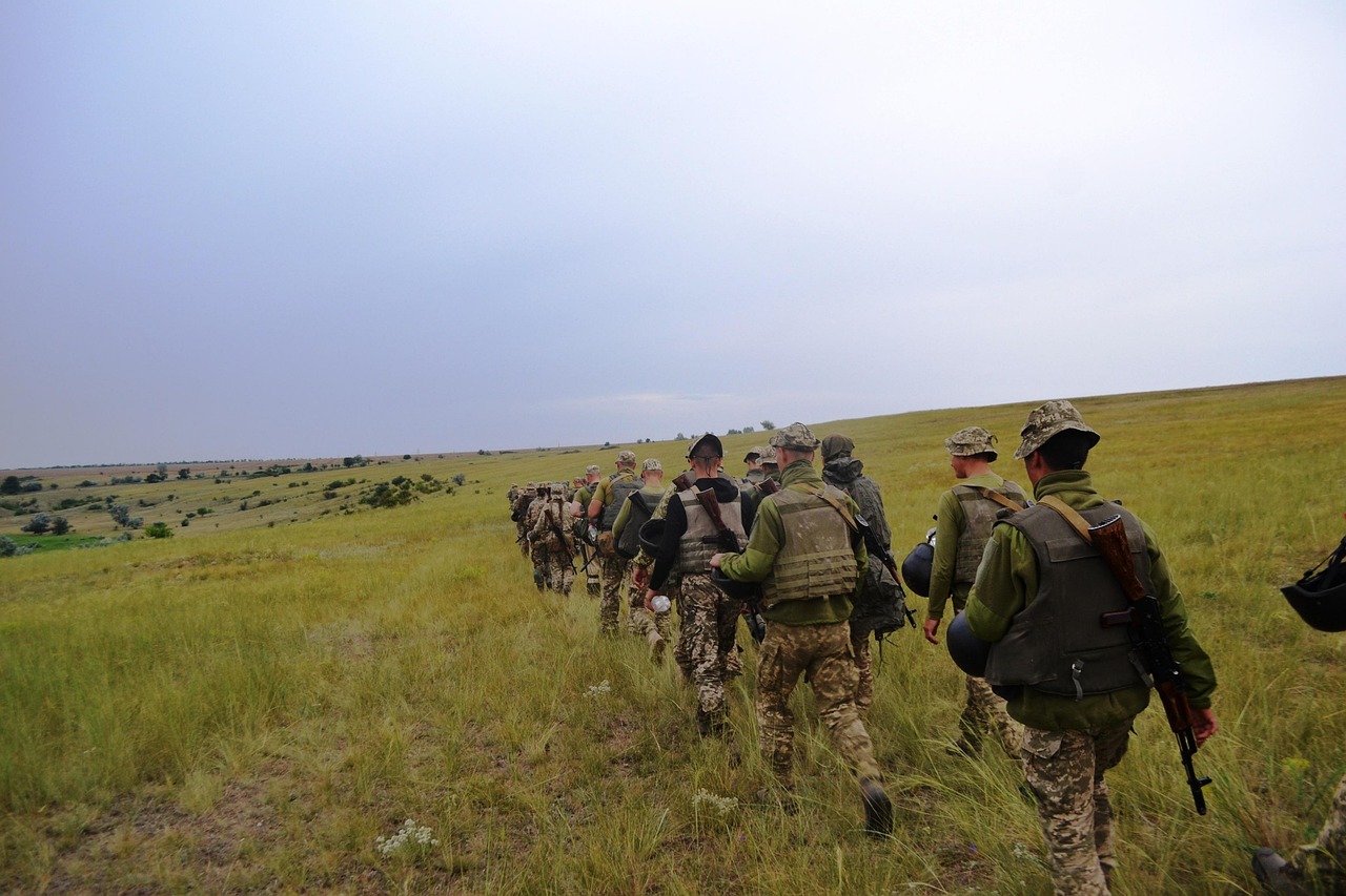 射雕：芭菲app详情下载教程