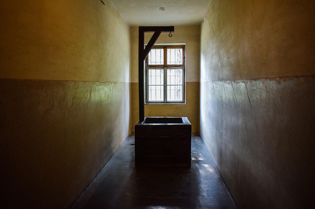 霸御乾坤：代理平台如何引流