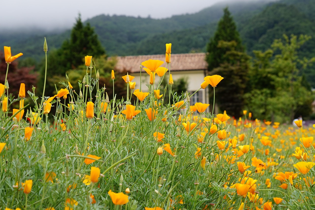 云烟百味人生：外卖平台代理业务