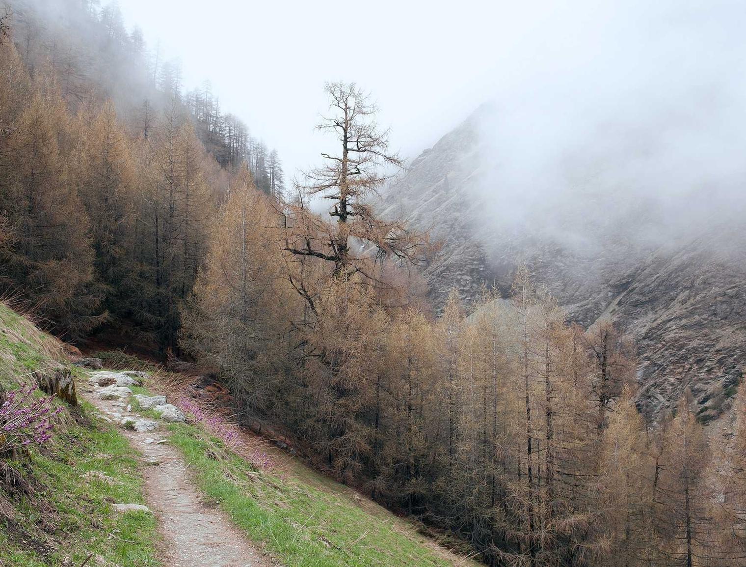 漏洞复现神器推荐，助你事半功倍