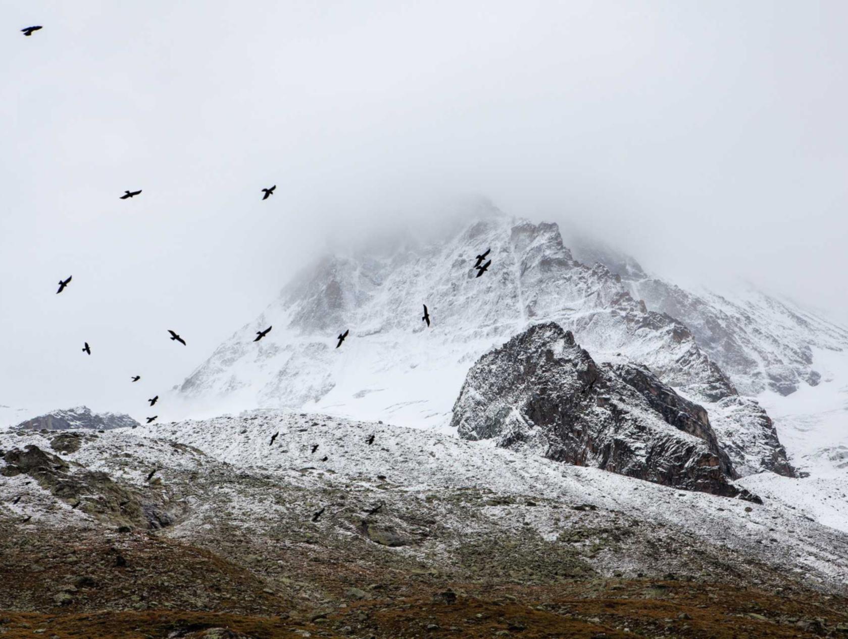 又拍云实名账号：缅甸腾龙平台开户