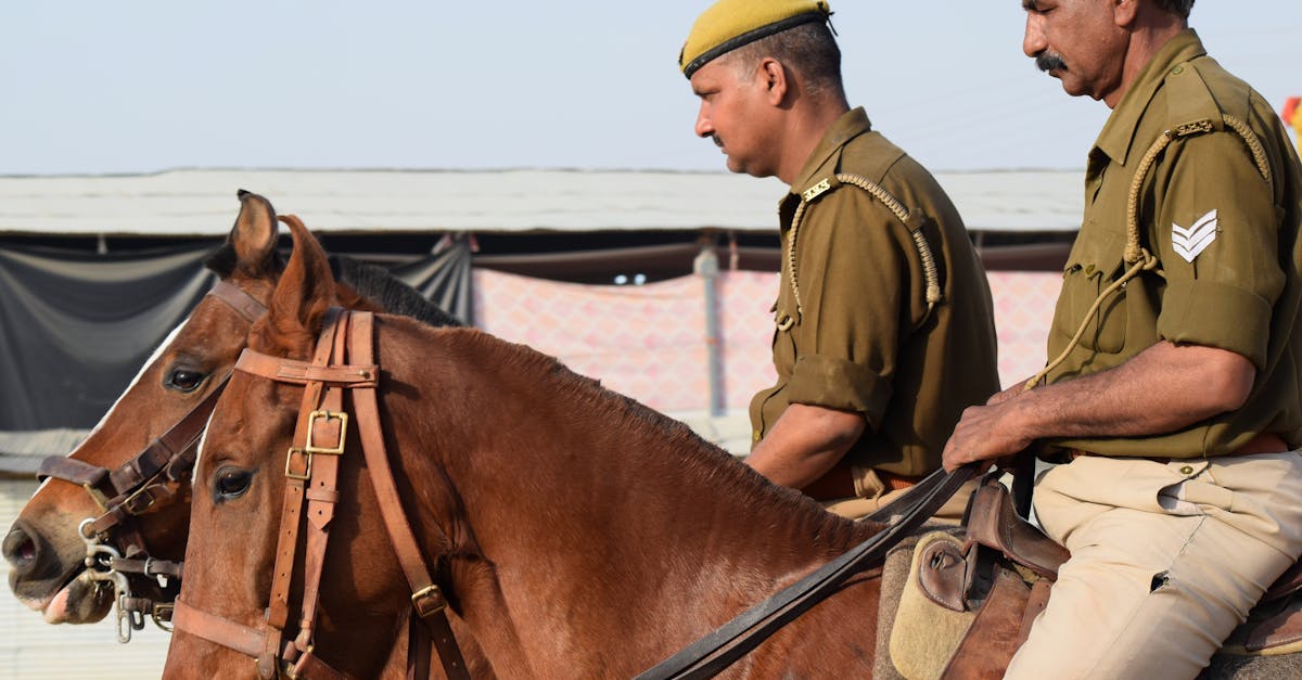 妖精的尾巴：勇气之旅：常州工商注册代理金额变更
