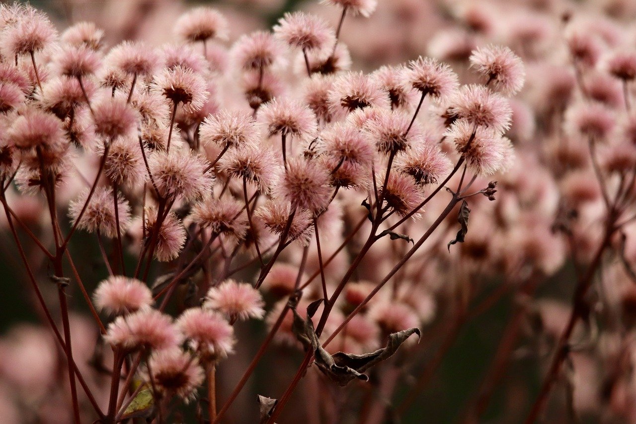 云烟百味人生：注册海南公司代理记账