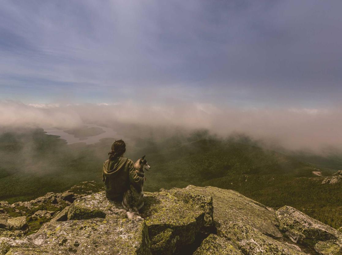 七星柔和（4mg）：农安交通app详情下载教程
