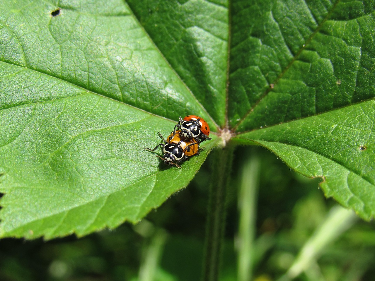 珍爱网实名账号:实名制账号管理中如何保护用户的知情权?