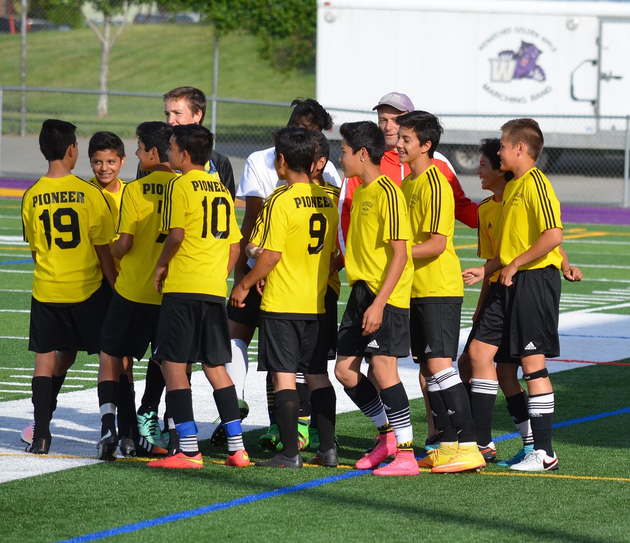 罐装东方之珠奶茶：台山技校培训app详情下载教程