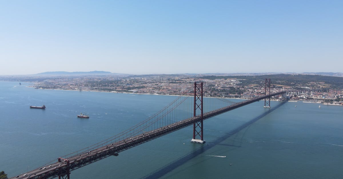 DDOS网页端|稞麦视频详情下载教程软件app